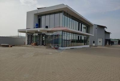 Birou, 420 mp în Est