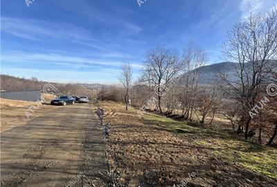 Teren intravilan de 1641 mp cu PUZ aprobat si utilitati in Cisnadioara - 17