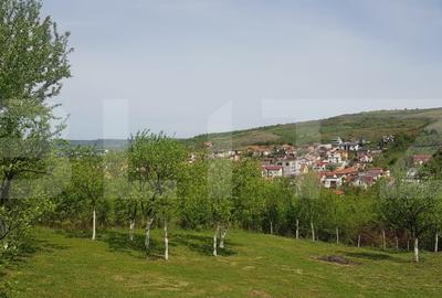 Exclusiv! Duplex de 120 mp, panorama, zona rezidențiala Romul Ladea - 6