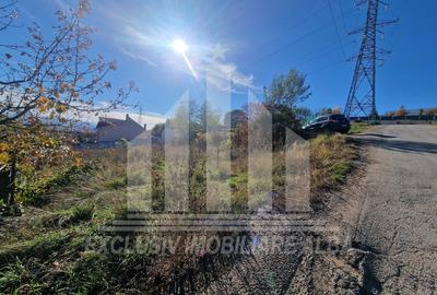 Teren Intravilan | 500 mp | 14 ml deschidere | Cetate - zona Schit - 6