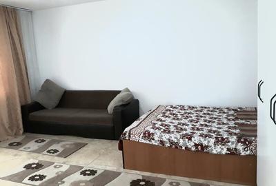 Colentina, Doamna Ghica, Parc Plumbuita, semistradal - 3