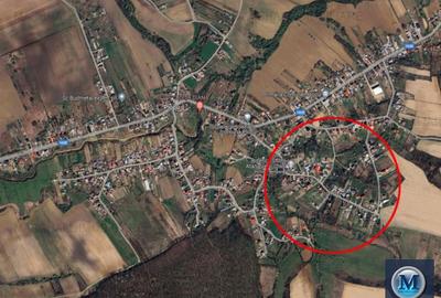 Teren intravilan de vanzare in Plopu, 1035 mp #16096