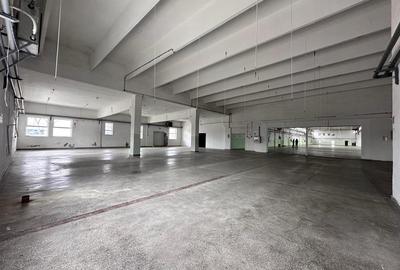 Hala/ spatiu comercial Pascani, 1500mp - 11