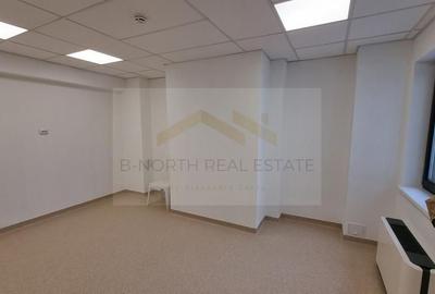 Spațiu de închiriat 230 mp + terasă – Str. 23 August  – ideal clinică / birouri - 9