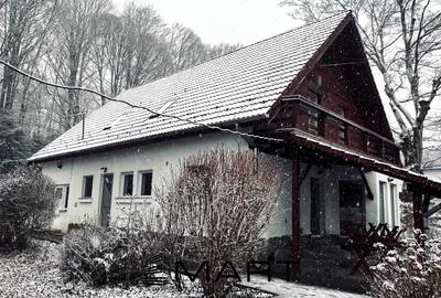 Casa de vacanta cu teren 2000mp Valea Avrigului - 2