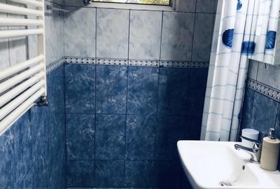 Garsoniera, 32 mp, statie de autobuz la 3 minute, metrou, Ion Mihalache - 7