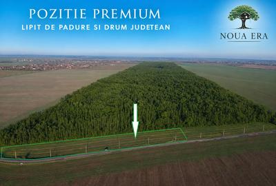 Intravilan, lipit de padure si drum judetean, zona Frumusani. Aer curat, liniste - 1