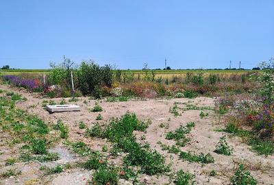 Intravilan 420m2 pe partea dreaptă - 2