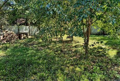Oportunitate Investitie, casa de vacanta Bradet-Brasov - 5