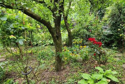 Vila Julie Ultracentral Suceava De Vanzare 0727817187 - 9