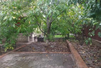 Vila Bucium cod 156392 - 20
