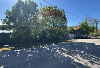 Casă cu 3 camere de vânzare în Sânnicolaul Român - 13
