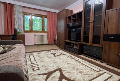 Apartament cu 3 camere Nicolina - 2