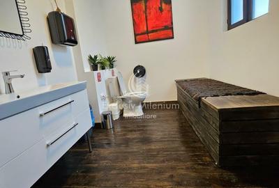 Vila Exclusivista Cișmigiu  - Stirbei Voda Birouri - 14