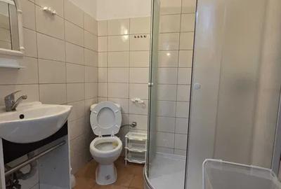 Studio Dristor/Pet friendly/Metrou Dristor - 7