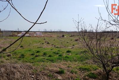 Teren Construcții intravilan de 798 mp, în Peciu Nou