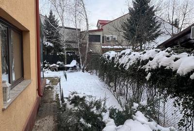 Vila Damaroaia - langa lacul Grivita - 12