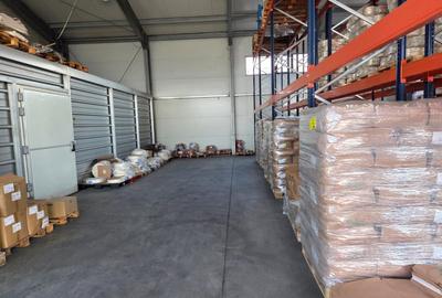 Proprietate top pretabil spatiu industrial cu teren 4000mp ,hala+birouri 1716mp - 18
