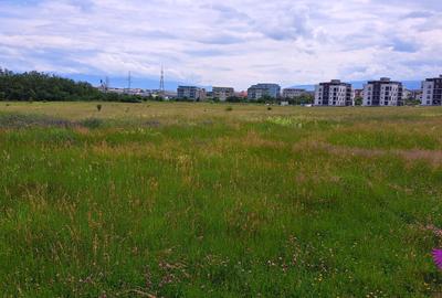 TEREN INTRAVILAN 2000MP-TURNISOR{posibilitate 5000mp} - 6