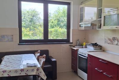 VILA DE VACANTA - Langa Bucuresti - locatie de weekend pentru natura si relaxare - 10