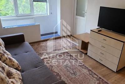 Apartament cu 1 camera de inchiriat, zona Aradului, Timisoara - 3