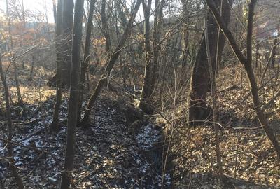 DOMENIU EXCLUSIVIST Băile Govora: 2500 mp cu Helesteu, Pârâu, Pădure, Utilități - 4