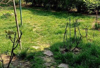 Apartament 2 camere cu gradina și garaj Băneasa - 9