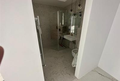 Vila individuala proximitate British School   Padurea Baneasa - 13