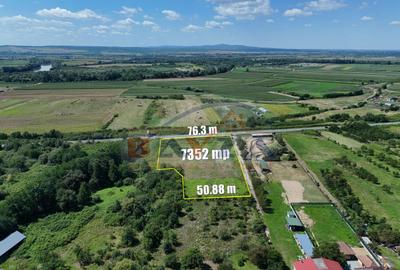 Teren intravilan 7352 mp, cu Deschidere 76.3 m la Șoseaua Națională - Cicârlău - 4
