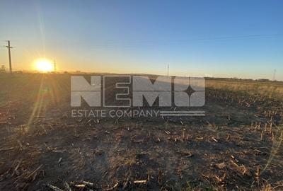 Teren Construcții intravilan de 2600 mp, în Exterior Est