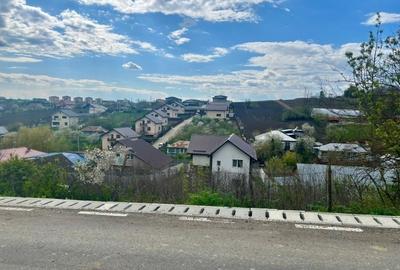 Teren intravilan 1000mp Valea Lupului la 1,2km de E85 apa canalizare PE TEREN! - 6