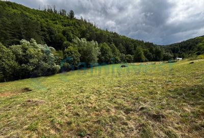 Teren extravilan de vanzare in Calatea, comuna Astileu, Bihor - 2