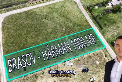 BRASOV - HARMAN - LOT 1000 MP TOTAL - 1