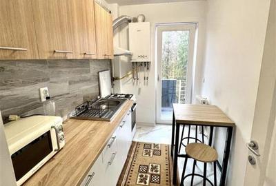 Apartament o camera, mobilat- Lunca Cetățuii - 3