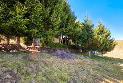 Proprietar | Teren Panoramic+PUZ + Cabana | Drumul Paltinisului |746mp - 10