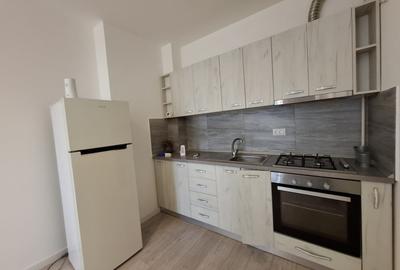 INCHIRIERE-APARTAMENT 2 CAMERE-VISOIANU - 1
