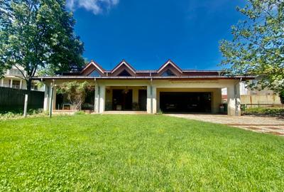 Vila de lux lângă Curtea Domnească – investiție premium Târgoviște, teren 1.700 - 51