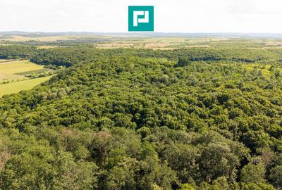 TEREN AGRICOL EXTRAVILAN  22.900 MP LIPOVA - 8