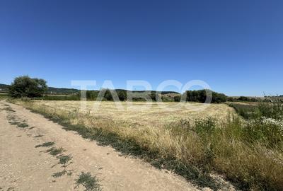 Teren intravilan 3752 mp parcelabil zona fostelor sere Cristian Sibiu - 1