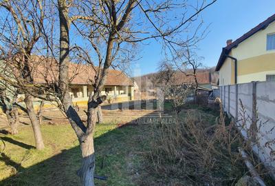 Teren | 3500mp | Constructie 100mp pe teren | 24ml deschidere | Ciugud - 2