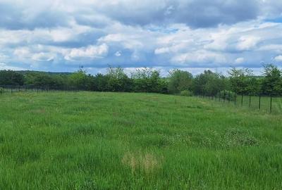 Teren intravilan 3100 m2 Cristian, Sibiu - 3