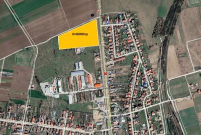 Teren Construcții intravilan de 29636 mp, în Șag