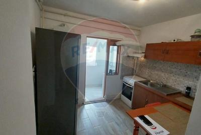 Apartament cu 3 camere decomandate în Lapus-Decebal - 5