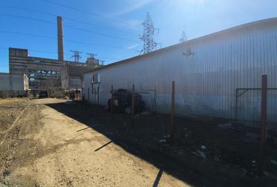 Hală Industrială | 519 MP | Teren 2419 MP | Suceava - 6