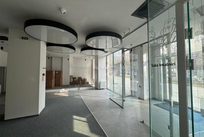 Spațiu comercial, 1135.8 mp în P-ța Alba Iulia