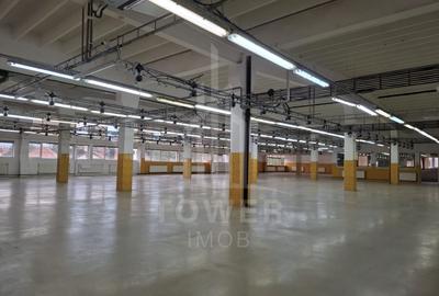 Hală de producție / depozitare – 1.300 mp utili, etaj 1, zona centrala - 13