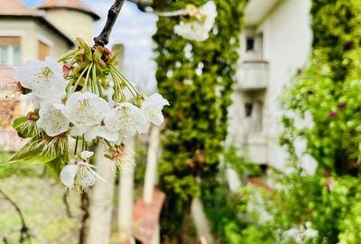 Vilă 4 familii | Apartament + mansardă | Curte 98 mp - 45