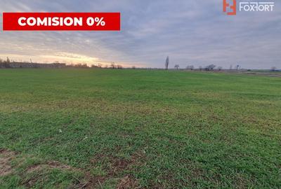 COMISION 0% Teren intravilan industrial 28.395 mp la sosea in Sag - 8