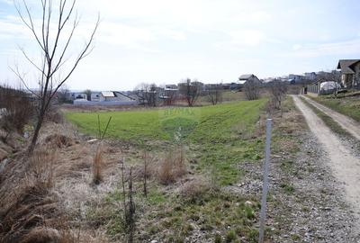 Teren 3,500mp Moara / Strada Pprincipala - 16