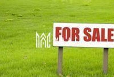 Investitie I Teren Intravilan I Miercurea Sibiului - 2